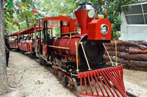 trenes de vías